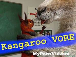 3d Kangaroo Porn - Kangaroo and Squirrel from 3d vore Watch Video - MyPornVid.fun