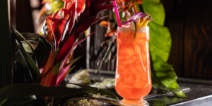 Food Forced Porn - Indulge in Adrift Tiki Bar's Spring Cocktails and Food Porn