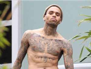 massive celebrity cock - Chris Brown Malibu
