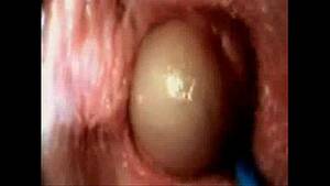 ejaculate in vagina cam - internal vagina sex - XVIDEOS.COM