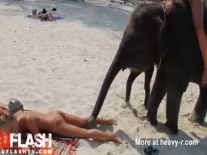 Elephant Fucks A Woman Porn - Topless Teen Molested by Elephant