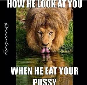 Funny Pussy Memes - Damn straight! LOL