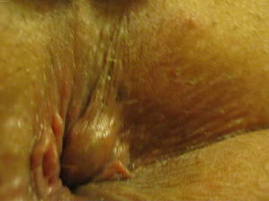 Closeup Homemade Porn - asshole closeup
