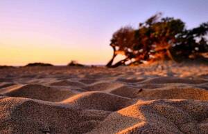 awwc nudist gallery - 11 Best Nudist Beaches In Sardinia