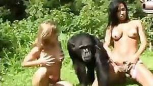 Monkey Sex With Women - monkey Animal Porn